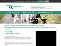 obsalim.com Webseite Vorschau