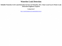 Waterlooleakdetection.londonleakdetection.net