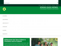 gruene-pforzheim-enz.de Webseite Vorschau