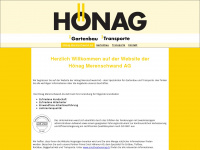 hoenag.ch Webseite Vorschau