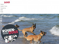 ruegen-dogs.de Webseite Vorschau