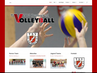 volleyball-krumbach.de Webseite Vorschau