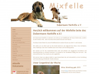 mixfelle-dobermann-nothilfe.de