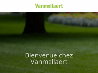 ets-vanmellaert.be Webseite Vorschau