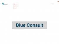 blue-consult.org Webseite Vorschau