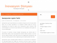 inovasyondunyasi.com.tr Webseite Vorschau