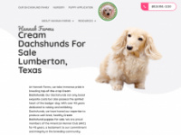 creamdachshundshannahfarms.com Webseite Vorschau