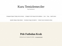 kurutemizlemeciler.com.tr Webseite Vorschau