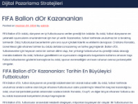 dijitalpazarlamastratejileri.com.tr Webseite Vorschau