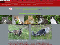 mainecoons-wolfsbrunn.at