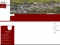 stadt-ruedesheim.de Webseite Vorschau