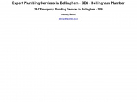 bellinghamplumber.co.uk Webseite Vorschau