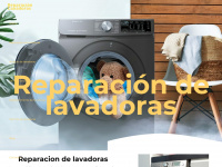 reparacionlavadorasencdmx.com Webseite Vorschau