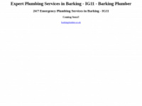 barkingplumber.co.uk Webseite Vorschau