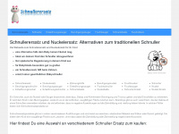 schnullerersatz.de Webseite Vorschau