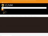 icamsecurity.com.au Webseite Vorschau