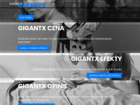 gigantx-48h.eu Webseite Vorschau