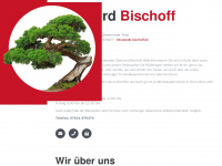 stb-bischoff.de Webseite Vorschau