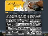 natural-golden.de Webseite Vorschau