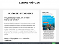 loanzo.pl Webseite Vorschau