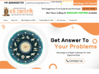 loveastrologersolution.com Webseite Vorschau