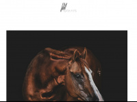 wild-horse-arts.de Webseite Vorschau