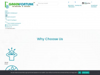 thegreenfortune.com Webseite Vorschau