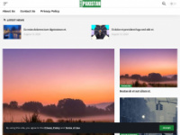 arisepakistan.com Webseite Vorschau