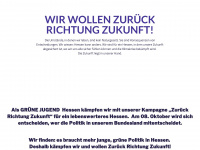 zurückrichtungzukunft.de Webseite Vorschau