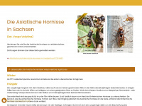 velutina-sachsen.de Webseite Vorschau