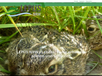 lepus-nrw.de Webseite Vorschau