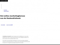 marketing-concepts.nl Webseite Vorschau