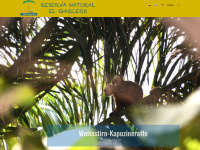 elgarcero.org Webseite Vorschau