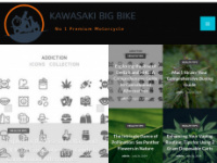 kawasakibigbike.com Webseite Vorschau