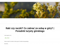 poznajpieniny.pl Webseite Vorschau