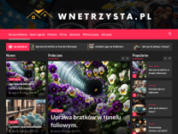 wnetrzysta.pl Webseite Vorschau