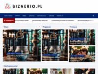 biznerio.pl Webseite Vorschau