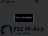 pitbullz-ht-werbeprofis.de Webseite Vorschau