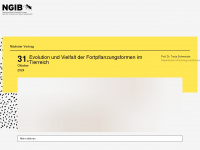 ngib.ch Webseite Vorschau