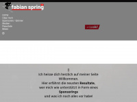 fabian-spring.ch Webseite Vorschau