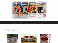 volleyball-in-regenstauf.de Webseite Vorschau