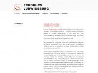 echokursludwigsburg.com Webseite Vorschau