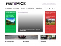 puntomice.com Webseite Vorschau