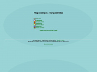 hippocampus-info.com Webseite Vorschau
