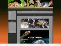 ciliatus.it Webseite Vorschau