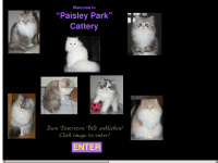 paisleyparkcats.de Webseite Vorschau