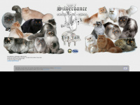 silverdance.de Webseite Vorschau
