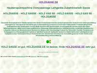 holzgasse.de Webseite Vorschau