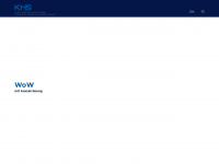 khs-audit-valuation.de