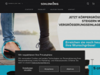 sohlenkoenig.ch Webseite Vorschau